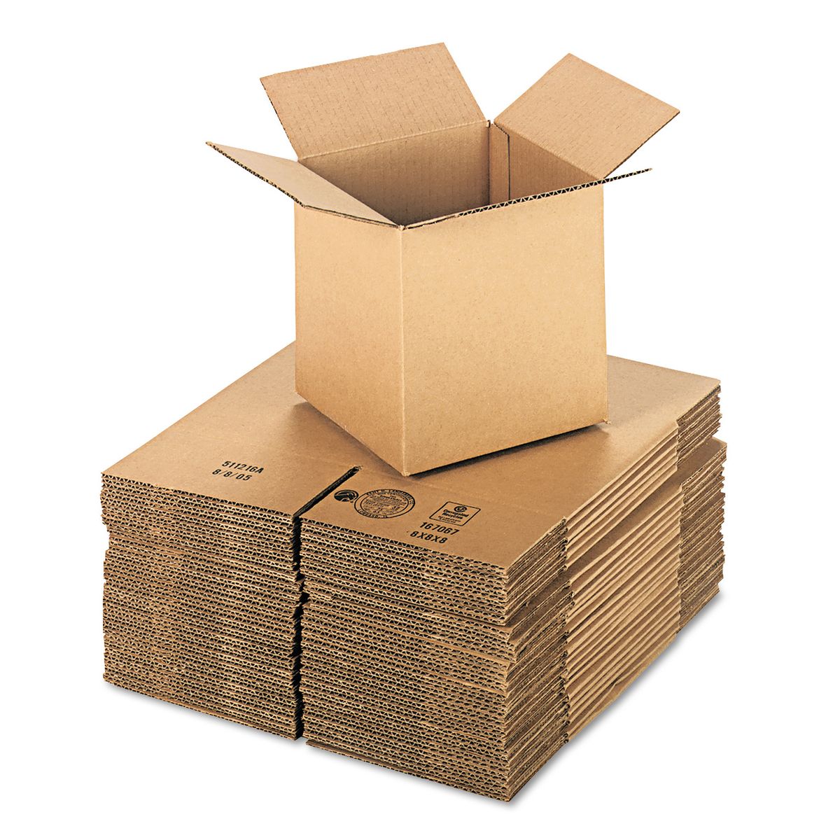 MASTER CARTON BOX