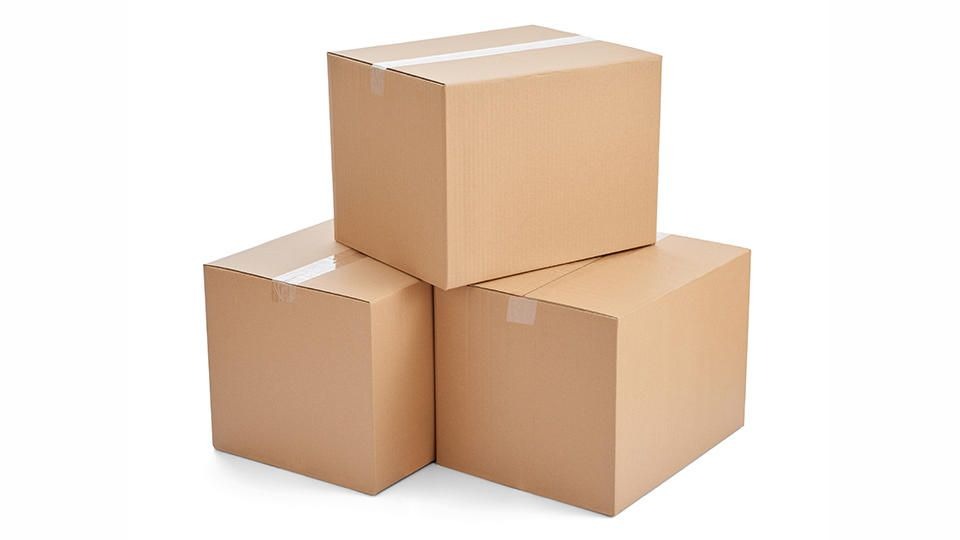MASTER CARTON BOX