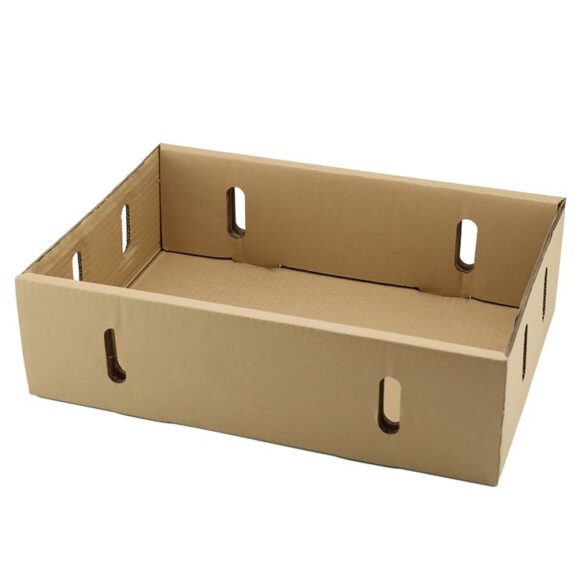 Mango Boxes - Image 5