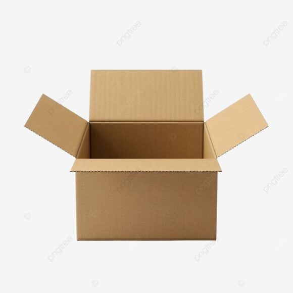 Master Carton Box - Image 4